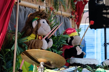Amazing Drumming Monkeys