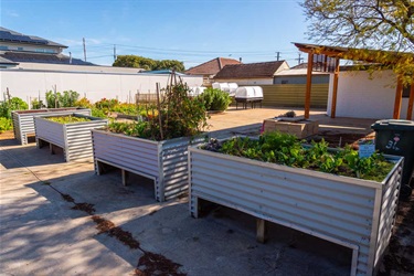 community garden 2