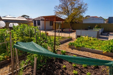 community garden 3