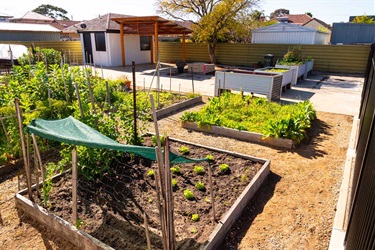 community garden