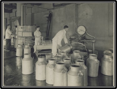 1935 Weighing and sampling Farmers' Union Milk