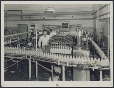 1960 Milk bottles at SA Farmers' Co-Op Union Ltd. Dairy Produce Department, Mile End