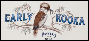 Metters Early Kooka [collectionmaasmuseumobject67299]