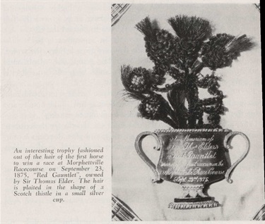 1888 Morphettville - From History and growth of the South Australia Jockey Club, 1955