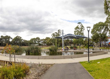 Apex Park wetlands