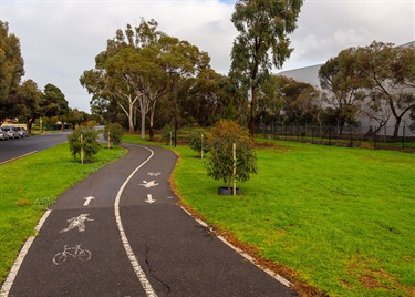 Beare Ave Watson Ave path 2