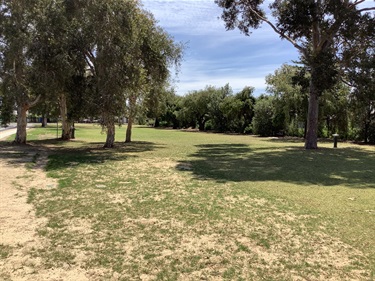 Errington Street Reserve 2