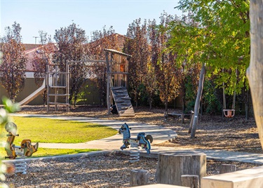 Falcon Avenue Reserve playground