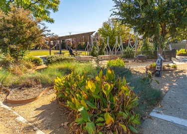 Falcon Avenue Reserve 5