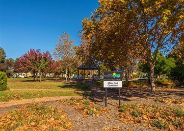 Mile End Common sign