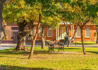 bench