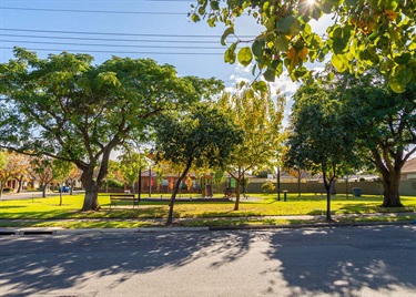 street-view 2