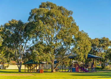 playground shelter