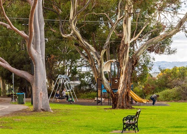 playground 2