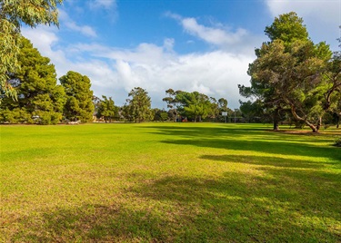 park
