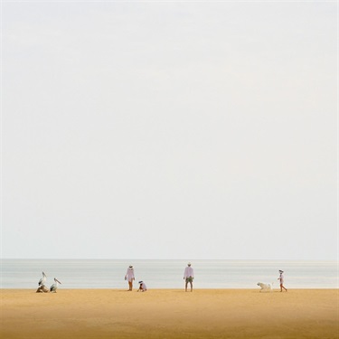 Fossicking for shells - Ross Daly