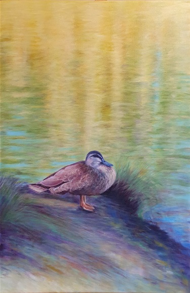 Torrens Duck - Rita Bellati