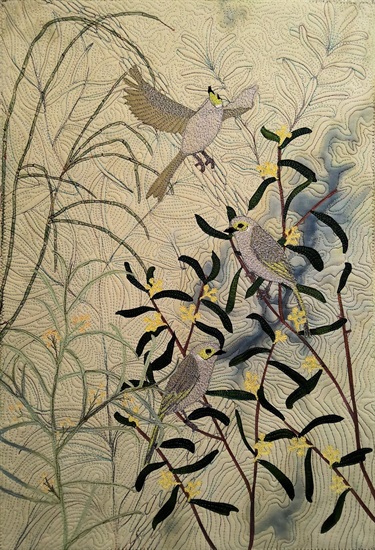 White plumed Honeyeater - Stephanie Eland