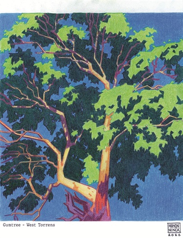 Manon Minck_Gumtree - West Torrens.jpg