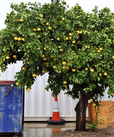 Mardi Zeunert_You Dropped One.png