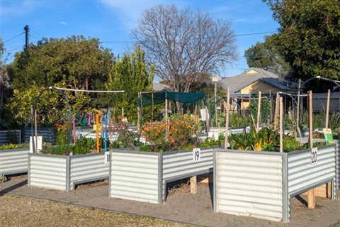 Clifford-St-Garden.jpg