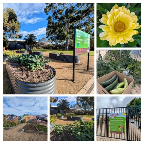 Community Garden.jpg