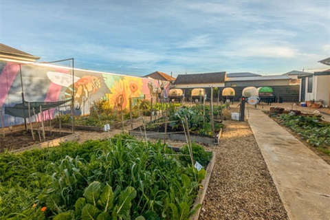 Plympton-Community-Garden.jpg