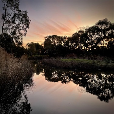 Bruce-ThomsonBreakout-Creek.jpg