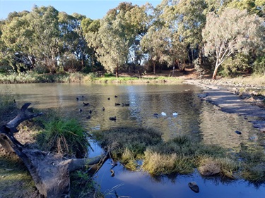 Maria-A-James_River-Torrens_Lockleys-1.jpg