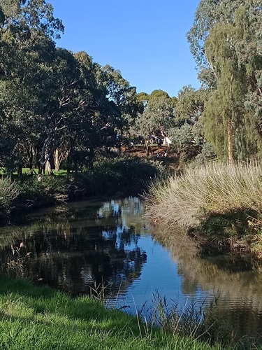 Nicky-OBroin_River-Torrens-Lockleys.jpg
