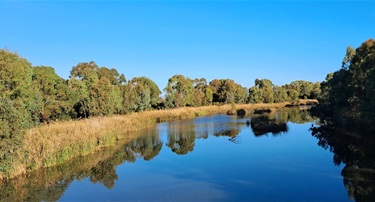 Nicola-Manos_Torrens-River-Lockleys.jpg