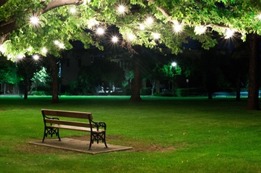 Peter-Richardson_Memorial-Gardens-at-Night.jpg
