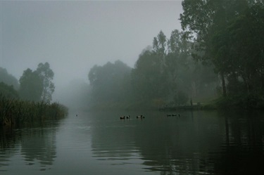 Peter-Richardson_Misty-Morning-River-Torrens.jpg