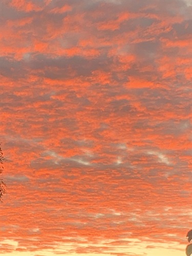 Victoria-Haupt_Sun-Glow_Cowandilla.jpg