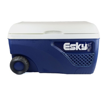 Esky large