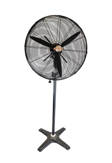 Large Fan