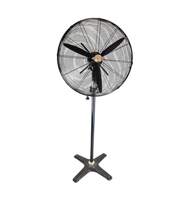 Large fan