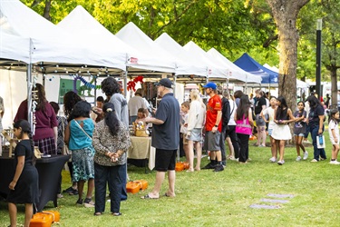Stalls at Music and Markets 2