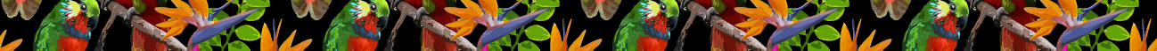 SF22-CWT-website-footer.png
