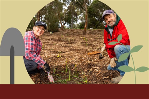 Arbor Day web graphic April 2024.jpg