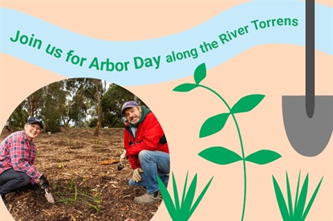 Arbor-Day.jpg