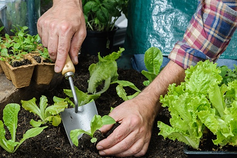 Adult learners spring gardening 600x400 px.jpg