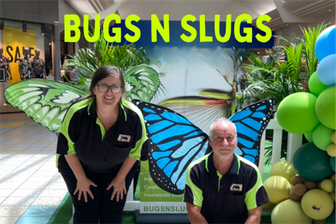 Bugs n Slugs.png