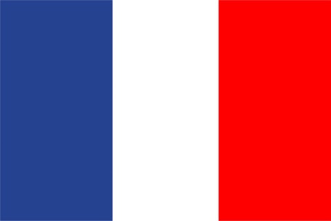 French flag.jpg