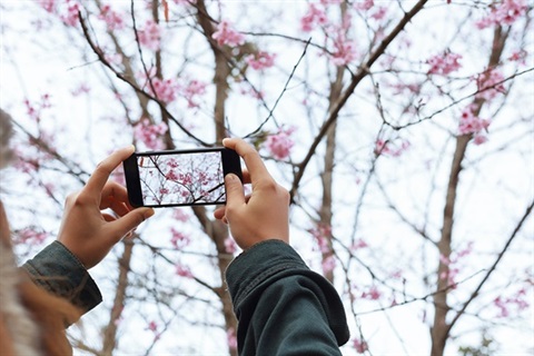 Spring Photo Walk.jpg