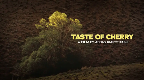 Taste of Cherry.png