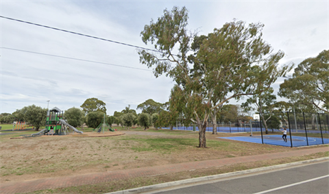 camden-oval.png