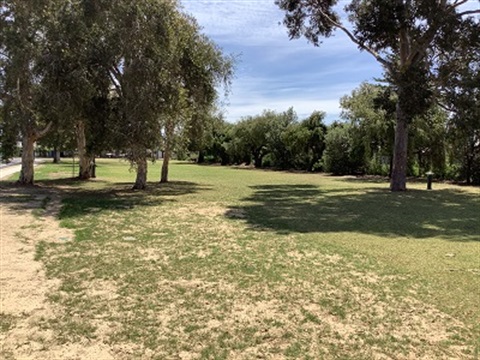 Errington-Street-Reserve.jpg