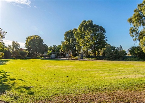 park-2-small.jpg