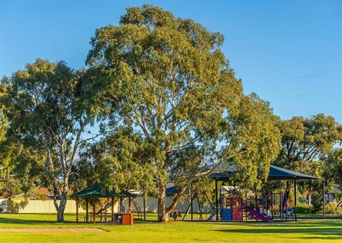 playground-shelter-small.jpg